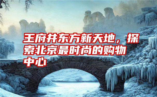 王府井东方新天地，探索北京最时尚的购物中心