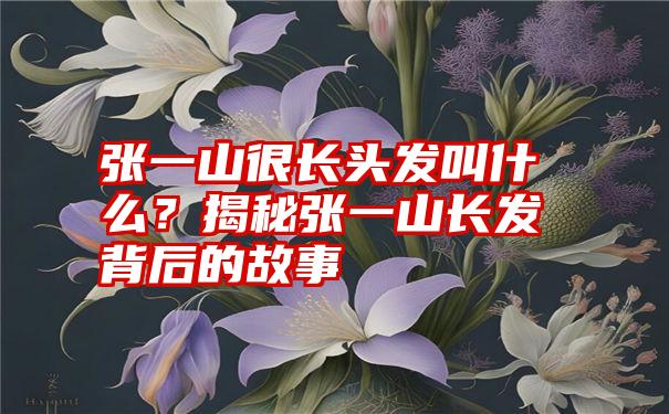 张一山很长头发叫什么？揭秘张一山长发背后的故事