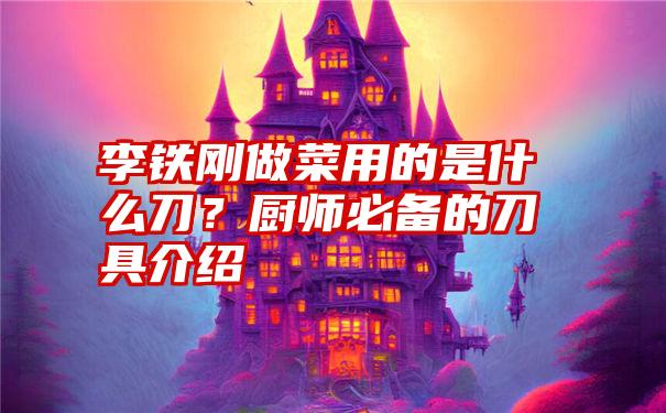 李铁刚做菜用的是什么刀？厨师必备的刀具介绍