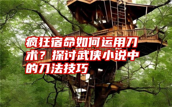 疯狂宿命如何运用刀术？探讨武侠小说中的刀法技巧