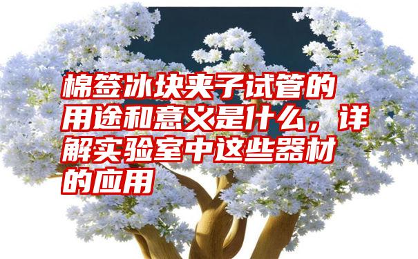 棉签冰块夹子试管的用途和意义是什么，详解实验室中这些器材的应用