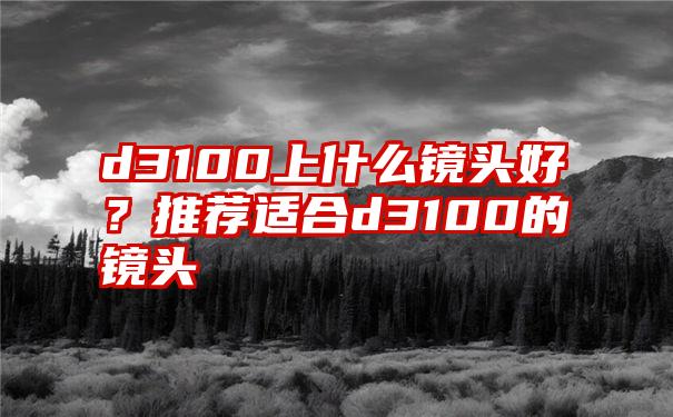 d3100上什么镜头好？推荐适合d3100的镜头