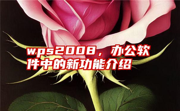 wps2008，办公软件中的新功能介绍