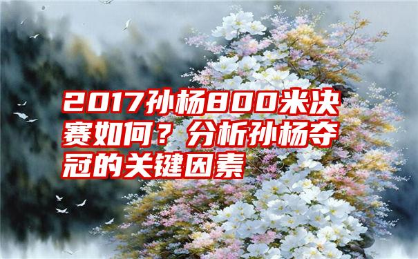 2017孙杨800米决赛如何？分析孙杨夺冠的关键因素