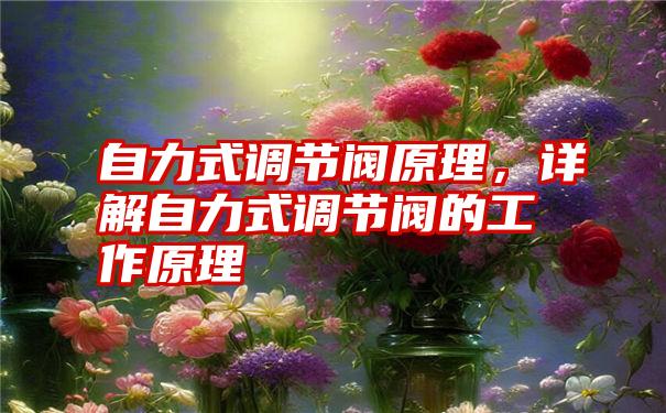 自力式调节阀原理，详解自力式调节阀的工作原理