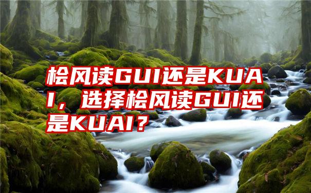 桧风读GUI还是KUAI，选择桧风读GUI还是KUAI？