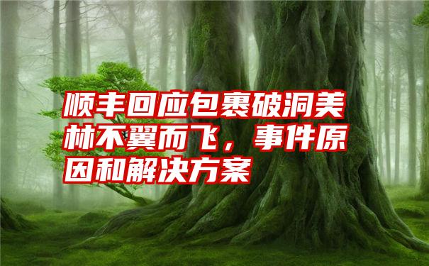 顺丰回应包裹破洞美林不翼而飞,事件原因和解决方案