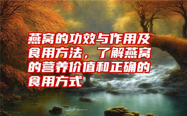 燕窝的功效与作用及食用方法，了解燕窝的营养价值和正确的食用方式