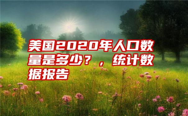 美国2020年人口数量是多少？，统计数据报告