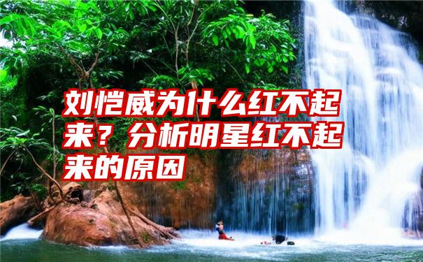 刘恺威为什么红不起来？分析明星红不起来的原因