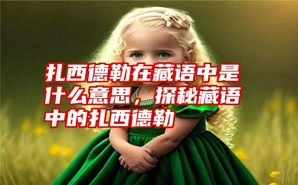 扎西德勒在藏语中是什么意思,探秘藏语中的扎西德勒