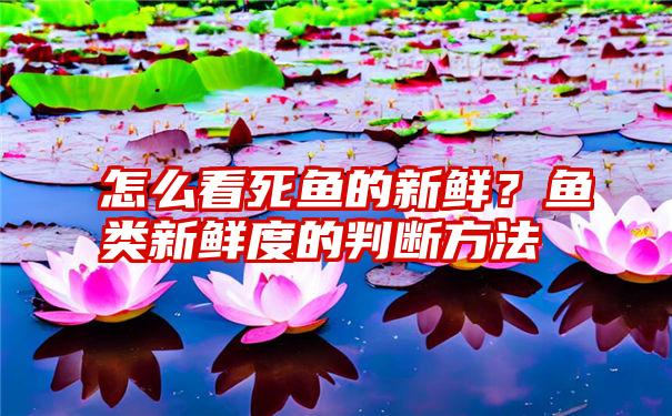 怎么看死鱼的新鲜？鱼类新鲜度的判断方法