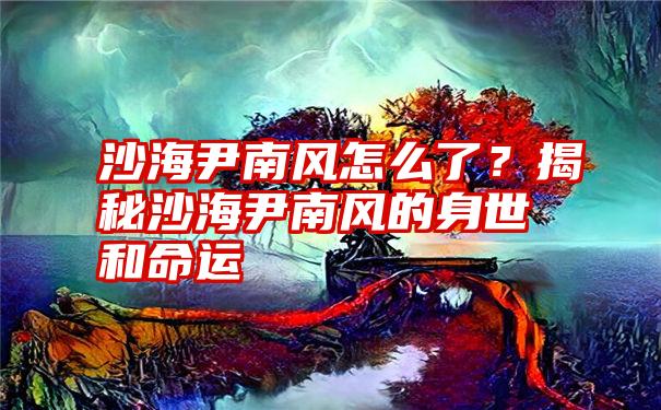 沙海尹南风怎么了？揭秘沙海尹南风的身世和命运