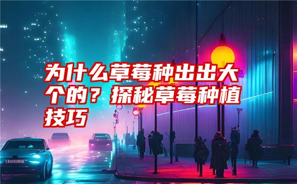 为什么草莓种出出大个的？探秘草莓种植技巧