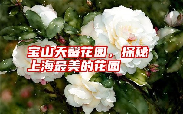 宝山天馨花园，探秘上海最美的花园