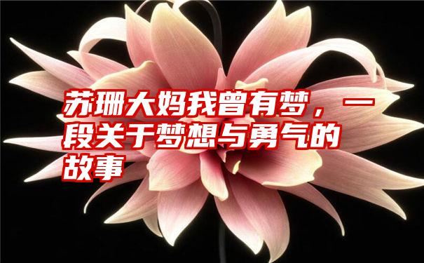 苏珊大妈我曾有梦，一段关于梦想与勇气的故事