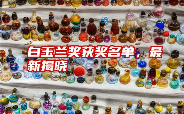 白玉兰奖获奖名单,最新揭晓