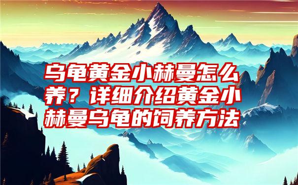 乌龟黄金小赫曼怎么养？详细介绍黄金小赫曼乌龟的饲养方法