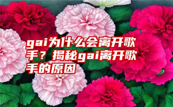 gai为什么会离开歌手？揭秘gai离开歌手的原因