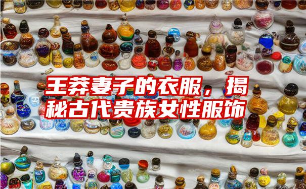 王莽妻子的衣服,揭秘古代贵族女性服饰