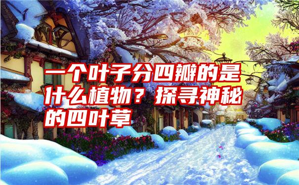 一个叶子分四瓣的是什么植物？探寻神秘的四叶草