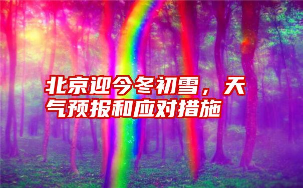 北京迎今冬初雪,天气预报和应对措施