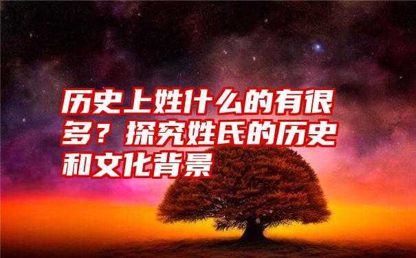 历史上姓什么的有很多？探究姓氏的历史和文化背景