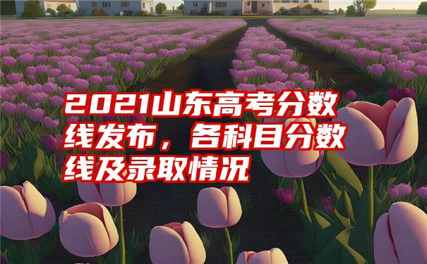 2021山东高考分数线发布,各科目分数线及录取情况