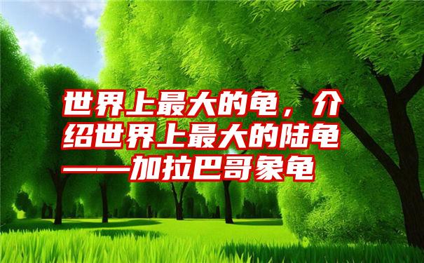 世界上最大的龟，介绍世界上最大的陆龟——加拉巴哥象龟
