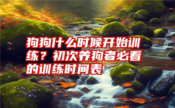 狗狗什么时候开始训练？初次养狗者必看的训练时间表