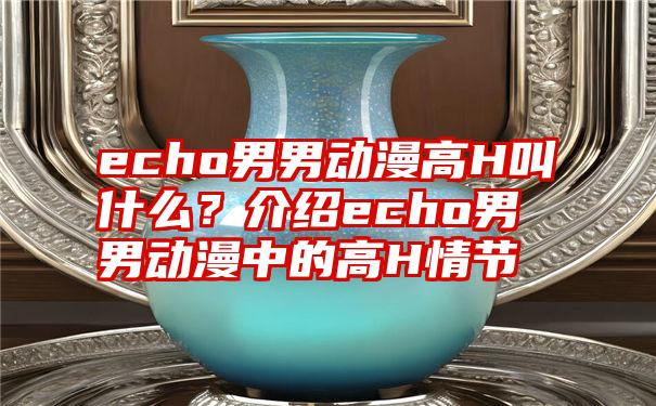 echo男男动漫高H叫什么？介绍echo男男动漫中的高H情节