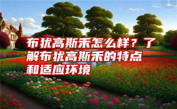 布犹高斯禾怎么样？了解布犹高斯禾的特点和适应环境