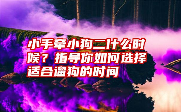 小手牵小狗二什么时候？指导你如何选择适合遛狗的时间