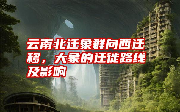 云南北迁象群向西迁移,大象的迁徙路线及影响