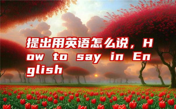 提出用英语怎么说，How to say in English