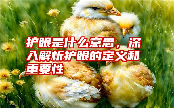 护眼是什么意思，深入解析护眼的定义和重要性