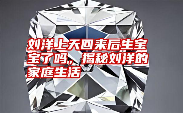 刘洋上天回来后生宝宝了吗，揭秘刘洋的家庭生活