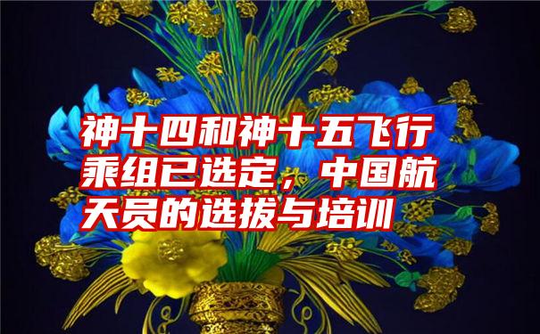 神十四和神十五飞行乘组已选定，中国航天员的选拔与培训