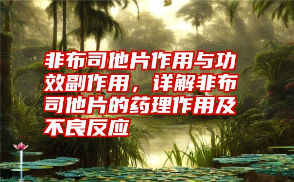 非布司他片作用与功效副作用，详解非布司他片的药理作用及不良反应