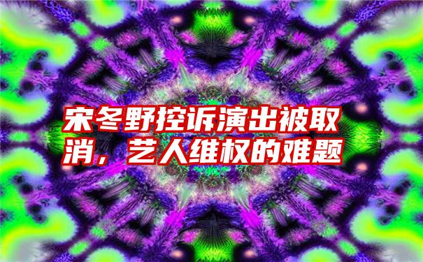 宋冬野控诉演出被取消,艺人维权的难题