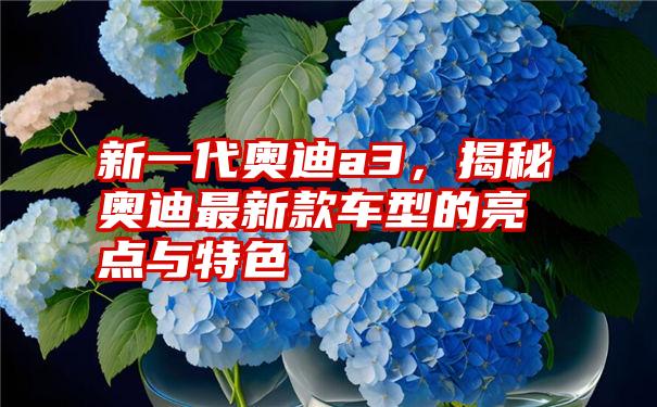 新一代奥迪a3，揭秘奥迪最新款车型的亮点与特色