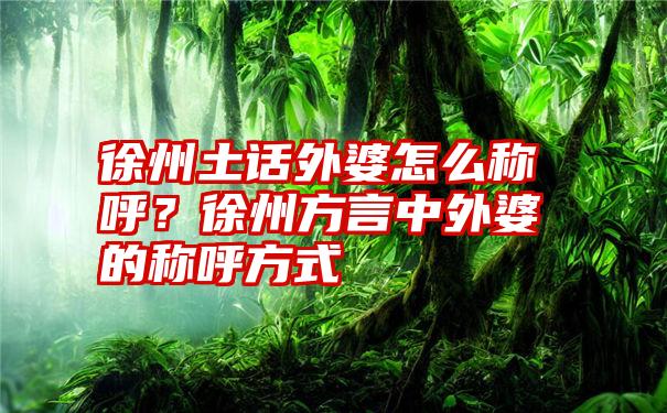 徐州土话外婆怎么称呼？徐州方言中外婆的称呼方式