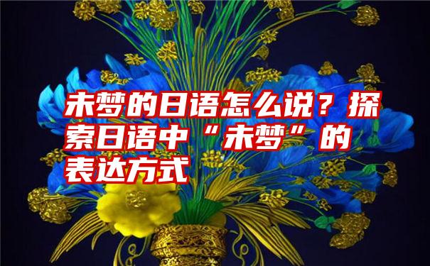 未梦的日语怎么说？探索日语中“未梦”的表达方式