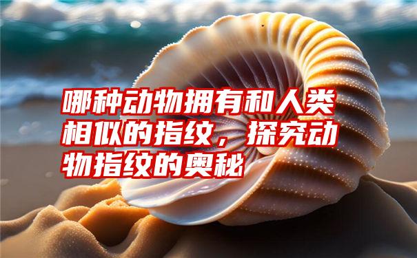 哪种动物拥有和人类相似的指纹，探究动物指纹的奥秘