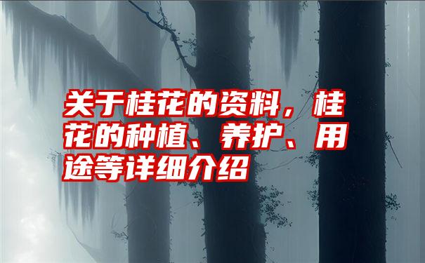 关于桂花的资料，桂花的种植、养护、用途等详细介绍