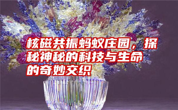 核磁共振蚂蚁庄园，探秘神秘的科技与生命的奇妙交织