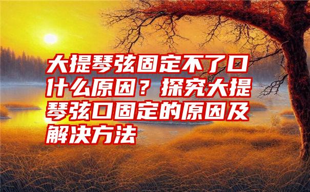 大提琴弦固定不了口什么原因？探究大提琴弦口固定的原因及解决方法