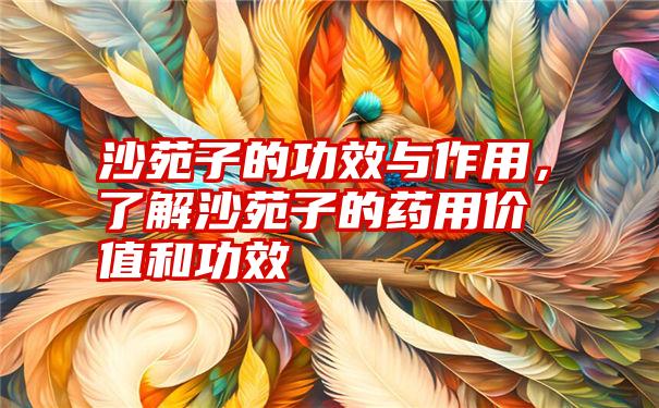 沙苑子的功效与作用，了解沙苑子的药用价值和功效