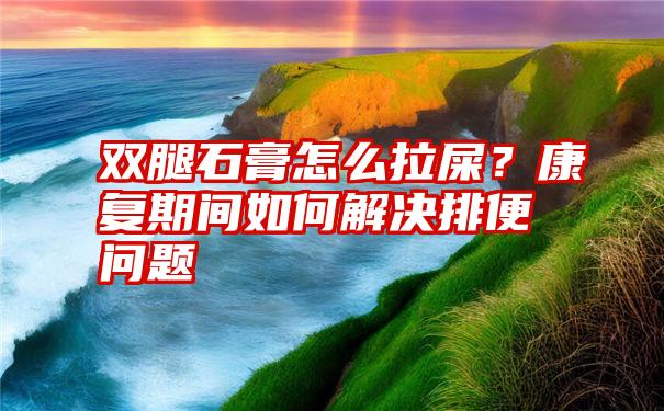 双腿石膏怎么拉屎？康复期间如何解决排便问题