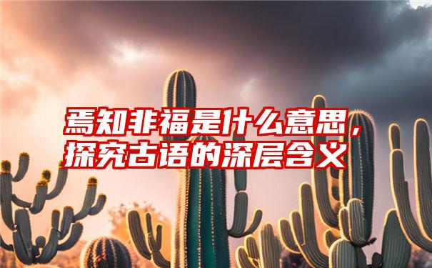 焉知非福是什么意思，探究古语的深层含义